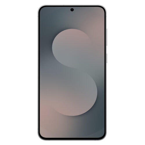 Samsung Galaxy S25 FE rental